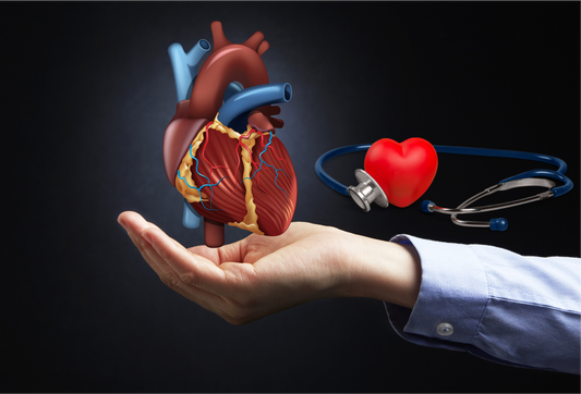 The Benefits of Supplements for Heart Health