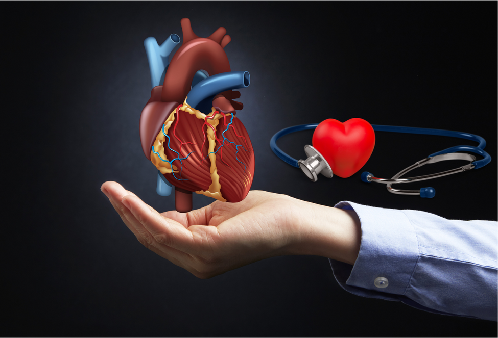 The Benefits of Supplements for Heart Health