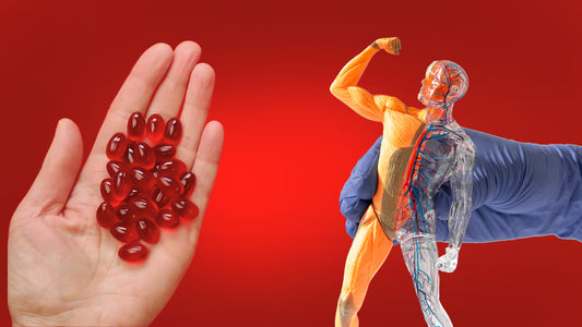 What Does Krill Oil Do For The Body